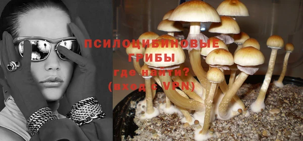 ешки Абинск