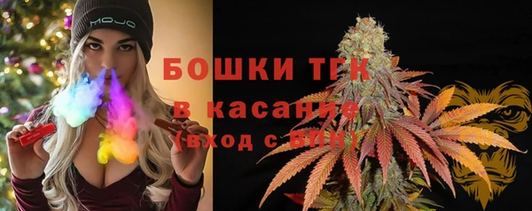 шишки Алзамай