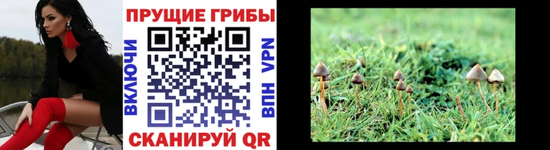 как найти закладки Киржач Галлюциногенные грибы ЛСД